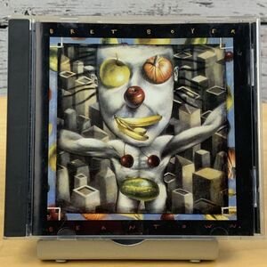 Bret Boyer - Beantown [CD 1994] Super Rare Crimson Heart Records Folk Rock Album